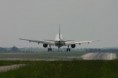 /album/spotting-5-2009/img-7406-jpg/