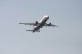 /album/spotting-4-2009/img-7100-jpg/